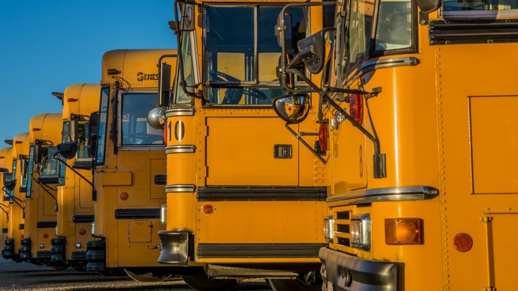 Line of School Buses. Skoolie Sizes.