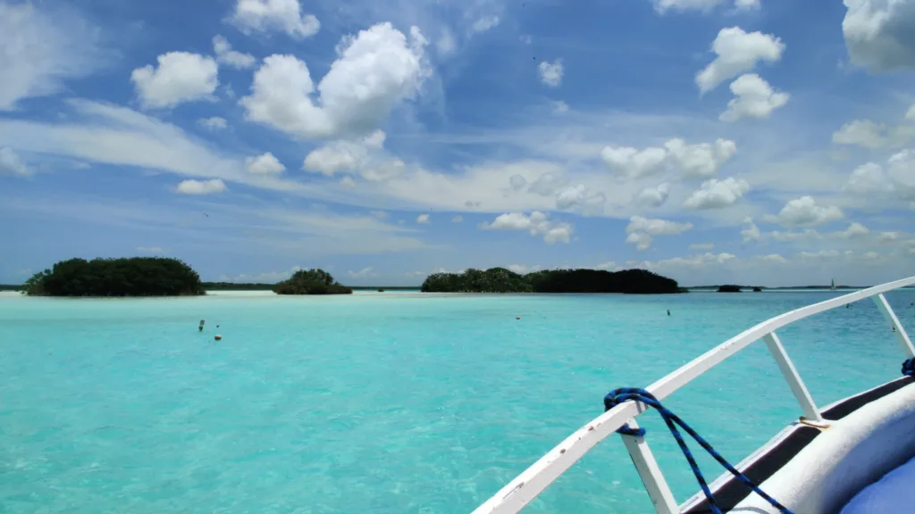 Bird Island Bacalar on Bacalar Boat Tour. Best Boat Tour in Bacalar, Mexico.