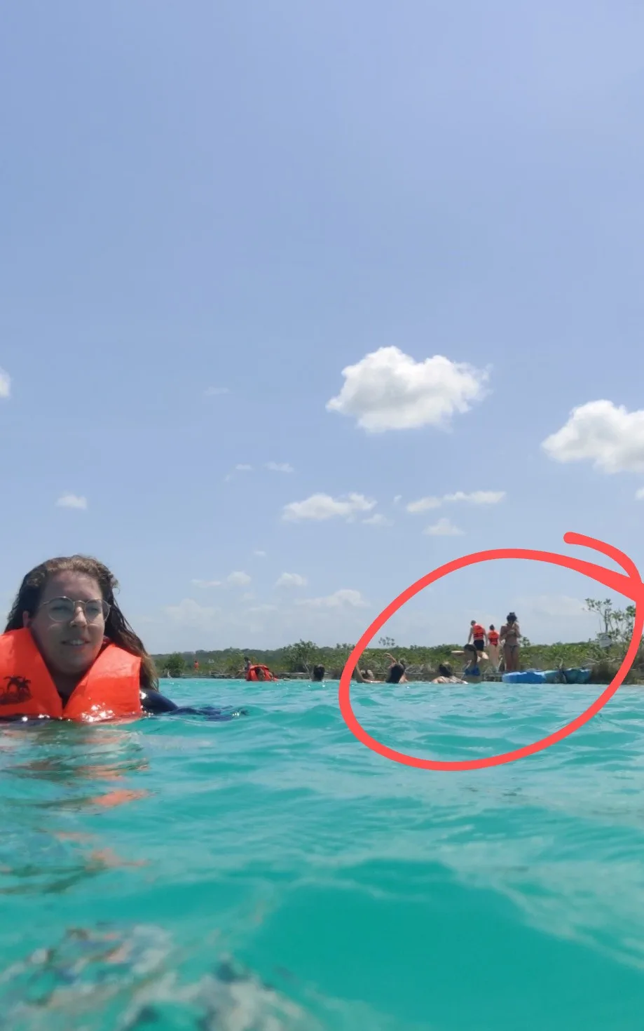 Bacalar Stromatolite Offenders. What are Stromatolites?