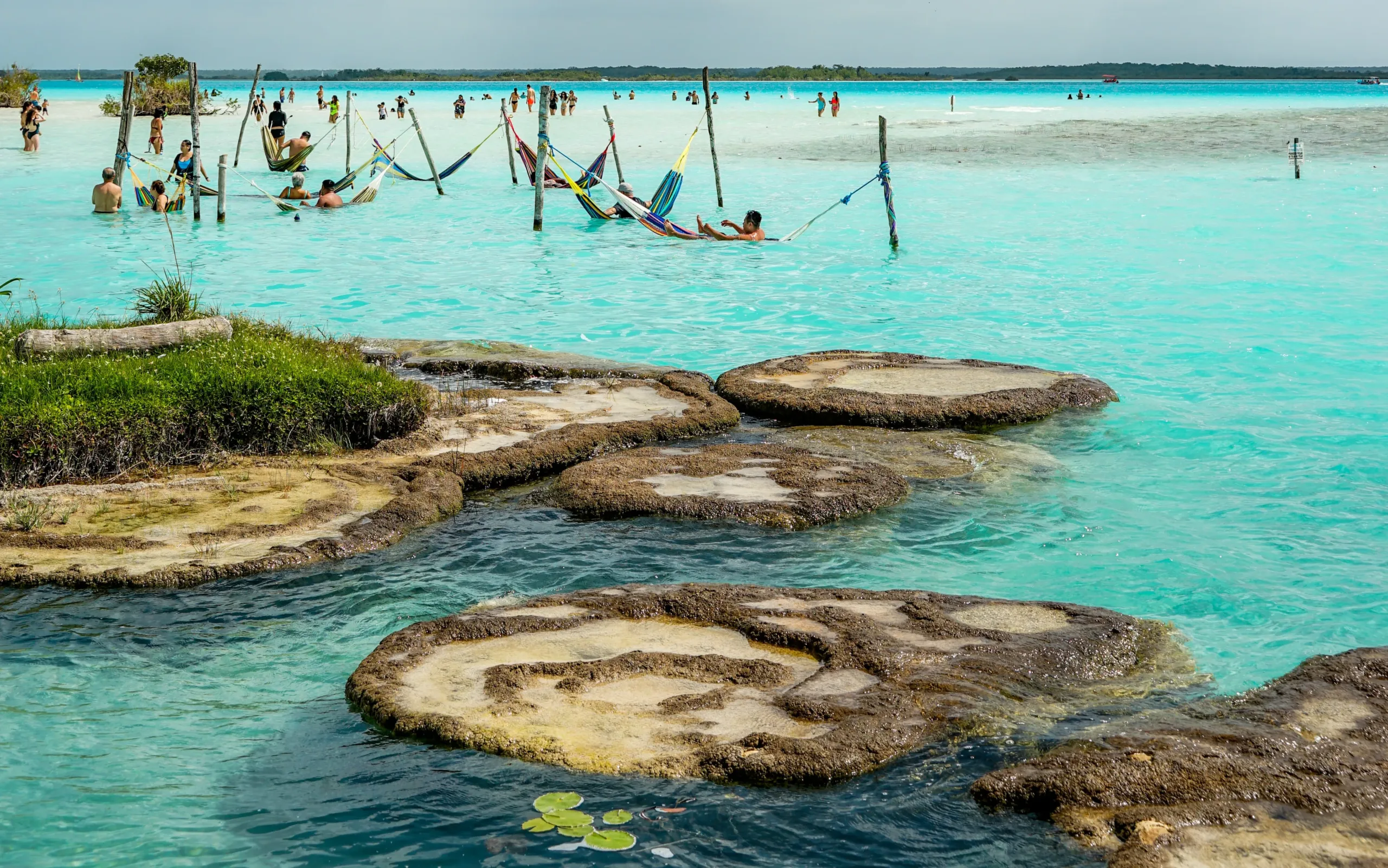 Bacalar Stromatolites. What are Stromatolites?